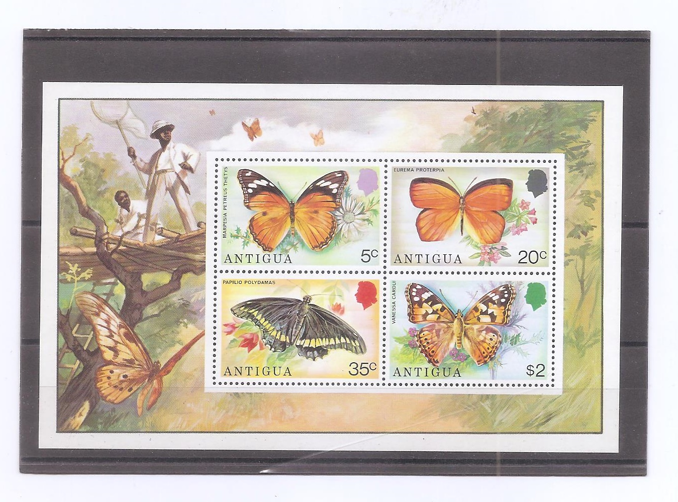 ANTIGUA DEL AÑO 1975 MARIPOSAS